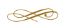 Squiqqly-divider-in-gold-